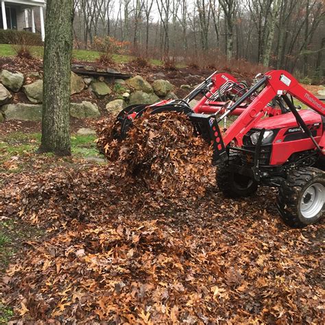 root rake vs grapple